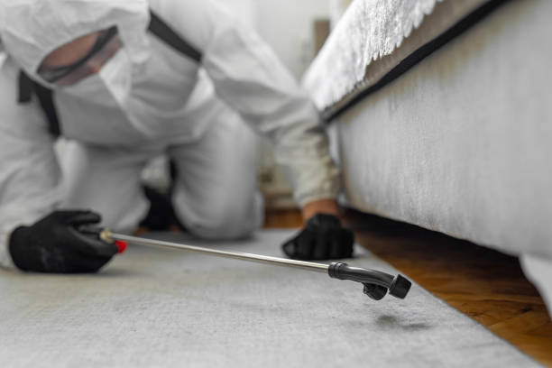 Professional Bed Bug Control technician working in College Place, WA