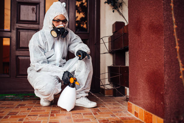 Reliable Bed Bug Control contractor in College Place, WA by Nex Pest Control