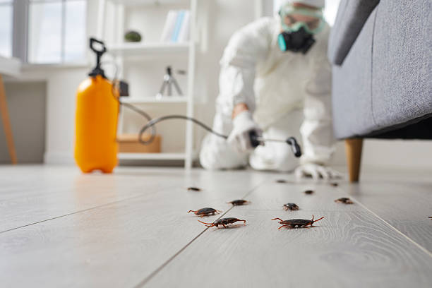 Trusted Mosquito Control service in College Place, WA - Nex Pest Control