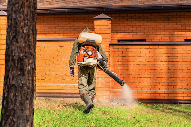 Trusted Cockroach Control service in College Place, WA - Nex Pest Control